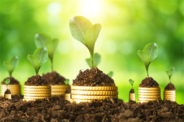 教你提高短线认知之周期效应