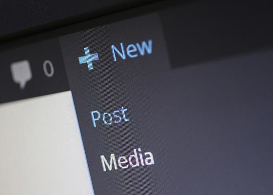 A股市场走出大国牛，新手小白该如何快速上手牛市行情？